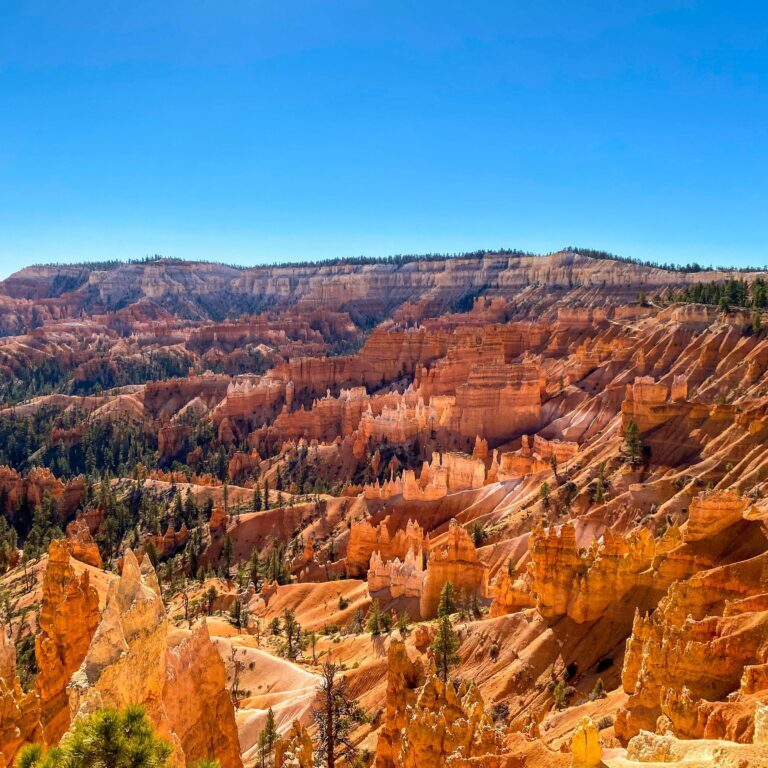 bryce