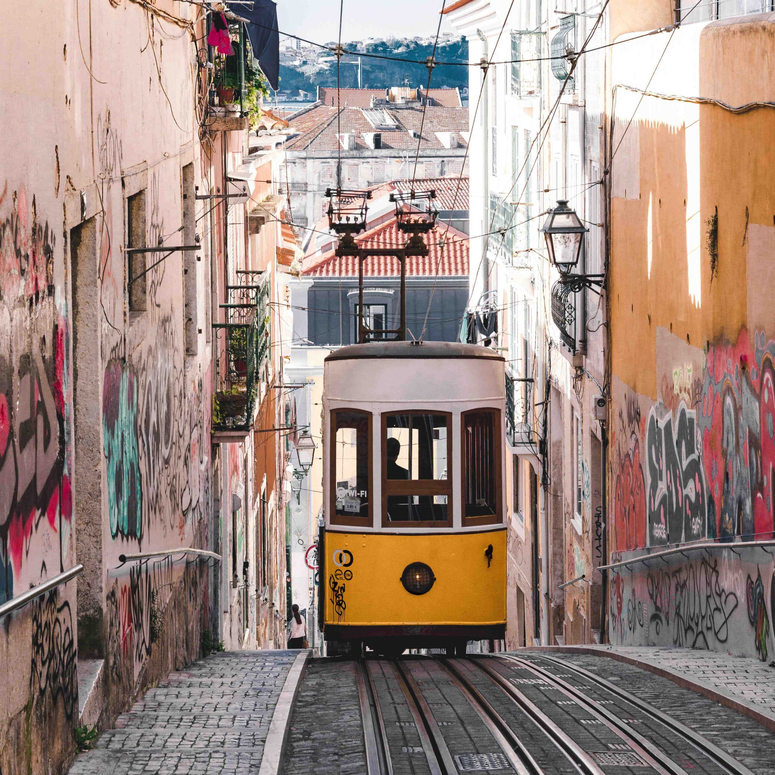 theodor-vasile-xerkMJTMNR4-unsplash